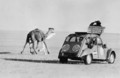 Citroën 2 CV: 60 let ljubezni