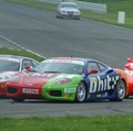 Ferrari Challenge, Misano - dirka: Hitra Nina dvakrat na zmagovalnih stopničkah