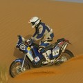 Lizbona – Dakar 2007: 11. etapa: Nema – Ayoun el Atrous - pot v Sahel