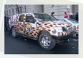 RALLY BUDIMPEŠTA - BAMAKO 2009: Zakonca Slavec zelo uspešno zastopata Slovenijo na največjem amaterskem rallyu