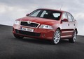 Škoda: Družba Škoda Auto je številka ena v državah Srednje in Vzhodne