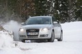 domača predstavitev: Audi quattro