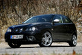 domača predstavitev: Seat ibiza