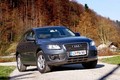 domača predstavitev: Audi Q5