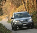domača predstavitev: Subaru tribeca