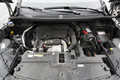 Opel grandland X 1.6 CDTI ecotec innovation: Umirjeni dvojček