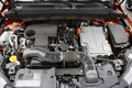 Renault megane conquest 145 E-tech RS line: Samo pri nas nosi takšno ime