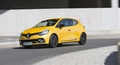 Renault clio R. S. 220 EDC trophy: Potrditev
