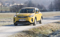KIA stonic 1.25 MPi EX motion: Kanarček v kletki