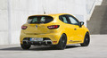 Renault clio R. S. 220 EDC trophy: Potrditev