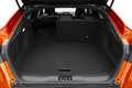 Renault megane conquest 145 E-tech RS line: Samo pri nas nosi takšno ime
