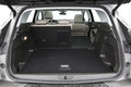 Opel grandland X 1.6 CDTI ecotec innovation: Umirjeni dvojček