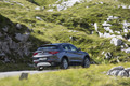 Alfa Romeo stelvio 2.2 diesel 16v 210 AT8 Q4 super: Sedaj je jasno, zakaj mu je tako ime!