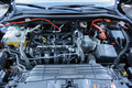 Ford kuga 2.5 PHEV FWD titanium: Brez neizpolnjenih želja