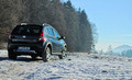 Dacia sandero 1,5 dCi stepway: Trik po vzoru žuželk