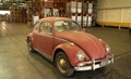Annie , ostarela hroščica s posebno oskrbo: Volkswagen of America je nagradil zvestobo Američanke Kathleen Brooks