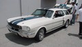 Mustang Shelby GT350 Shooting-Brake