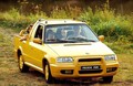 Škoda felicia: Dvajset let novodobne felicie