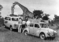 Renault 4 CV: 70 let Renaultove kremšnite
