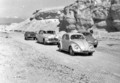 Porsche 597 Jagdwagen : Prvi čistokrvni terenski porsche