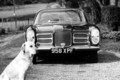 Facel Vega Facel II (1962–1964)