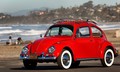 Annie , ostarela hroščica s posebno oskrbo: Volkswagen of America je nagradil zvestobo Američanke Kathleen Brooks