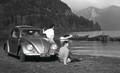 Volkswagen Käfer 1100 (Typ 11) 1949–1953
