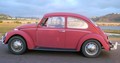 Annie , ostarela hroščica s posebno oskrbo: Volkswagen of America je nagradil zvestobo Američanke Kathleen Brooks