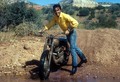 Triumph 650 Bonneville z ljubkovalnim imenom Desert Sled