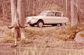 Citroën ami 6: Že 50 let