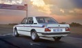 BMW 530 MLE: Skoraj neznani afriški športnik