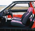 Porsche FLA (tip 296): Antipotrošniški porsche