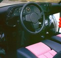 Porsche FLA (tip 296): Antipotrošniški porsche