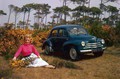 Renault 4 CV: 70 let Renaultove kremšnite