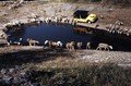 Citroën Mehari: Pod granitnimi kockami je plaža … in Méhari!