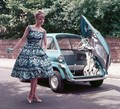 BMW 600