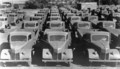 Proizvedeni Fordovi tovornjaki (1949)