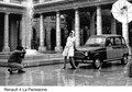 Renault 4:  Katrca  se pripravlja na praznovanje Abrahama