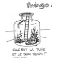 Renault twingo & Yves Dubreil: Dvajset let twinga v dvajsetih slikah