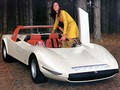 Alfa Romeo Tipo 33 Stradale : Alfa Romeo praznuje 50. rojstni dan legendarnega modela