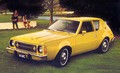 AMC Gremlin