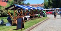 Čaščenje tehnične kulture: “NAJ STARODOBNIK SLOVENIJE”, ORMOŽ 2025