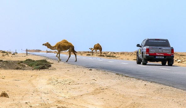 Ekipa Rainerja Zietlowa in Volkswagen Amarok V6 TDI: Od Dakarja do Moskve v 3 dneh, 4 urah in 54 minutah
