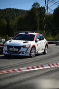 Prvi Parallel RallyShow Slovenia: Zmaga Aljoši Novaku, uspešna premiera novega avtomobilističnega formata